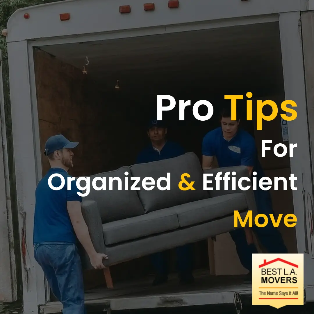 Pro tips for organized and efficient move